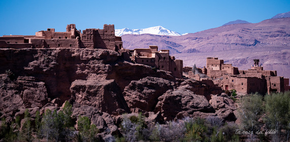 Afrique Maroc