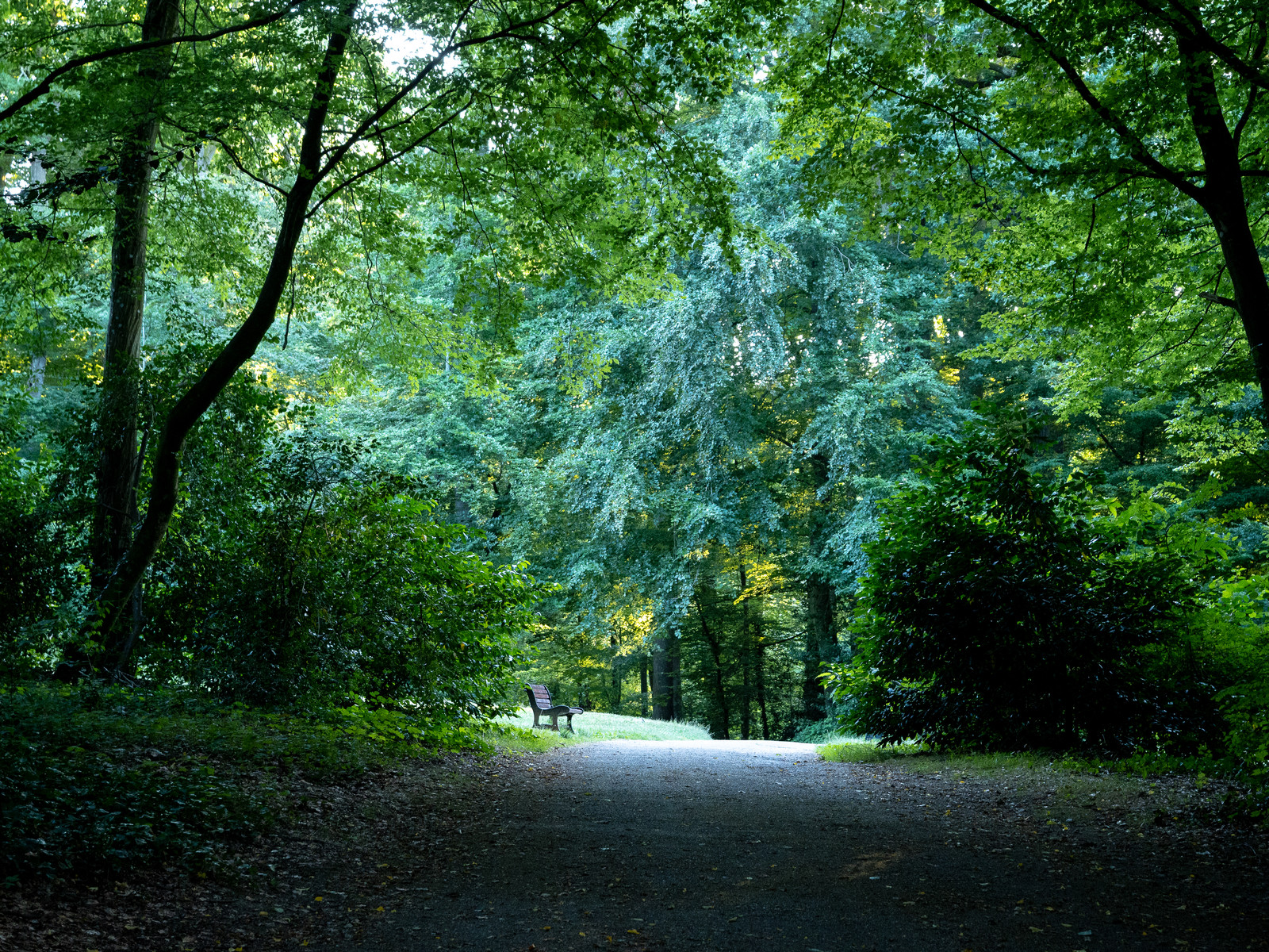 Parc de la Godiniere; Nantes