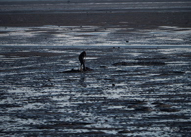 Île de Noirmoutier