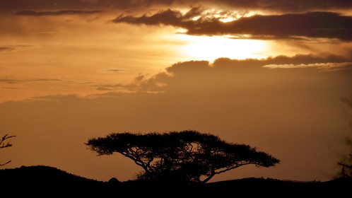 Sunset Tanzanie