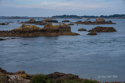 ile-de-Bréhat