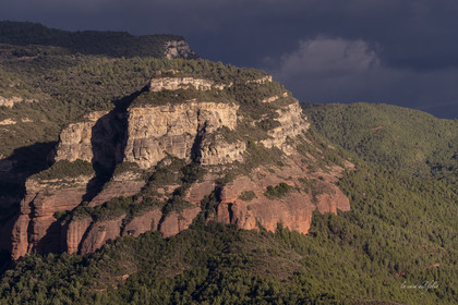Minorque