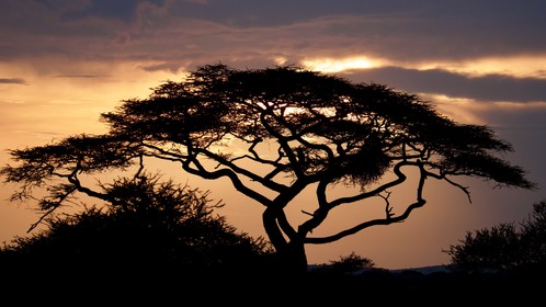 Sunset Tanzanie