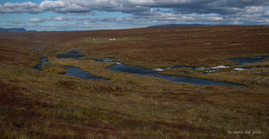 Islande