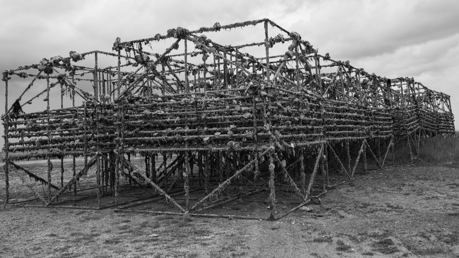 Structure pour élevage d'Huitres