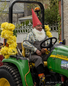 La Fête des Jonquille