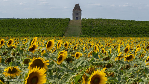 p1025935.jpg