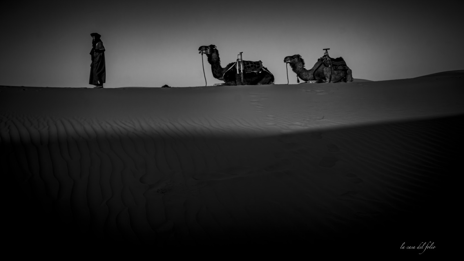 Maroc Désert du Sahara
