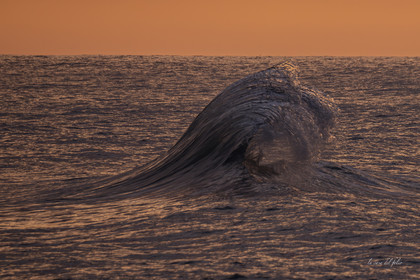 waves in the golden hour